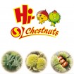 Export best fresh chestnuts