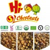 Frozen Peeled Chestnuts IQF Chestnuts for sale