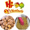 Frozen peeled chestnuts