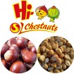 IQF Frozen Peeled Chestnut Castanea Sativa