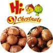 China best ringent chestnut